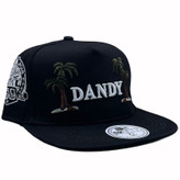 کلاه کپ بک فیت مشکی مدلDANDY کد 3