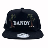 کلاه کپ بک فیت مشکی مدلDANDY کد 3